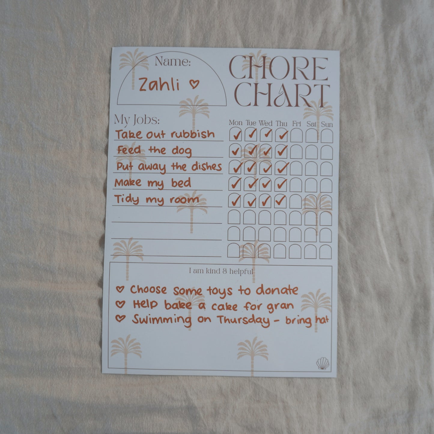 Peach Checkers Chore Chart